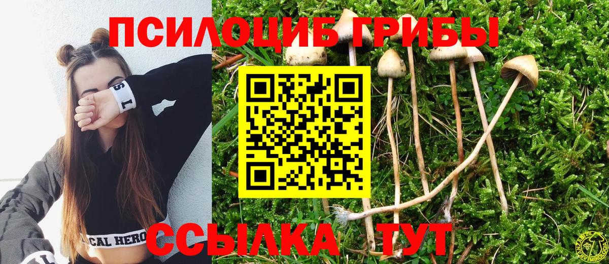 Псилоцибиновые грибы MAGIC MUSHROOMS  Вход с VPN  Галлюциногенные грибы мицелий  цены наркотик  Чехов 